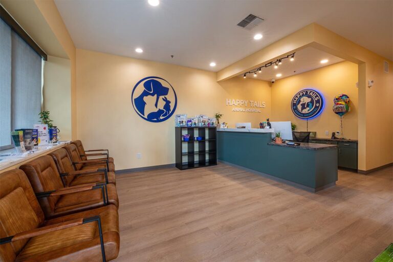 The Reception Area