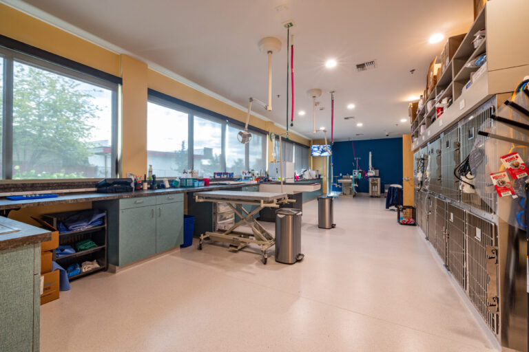 Long picture of Treatment area