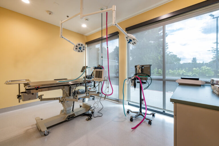 Surgery Suite