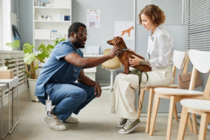 Veterinarian in Renton