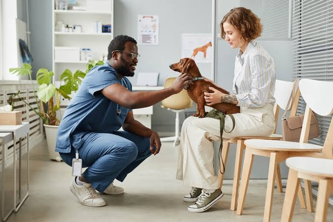 Veterinarian in Renton