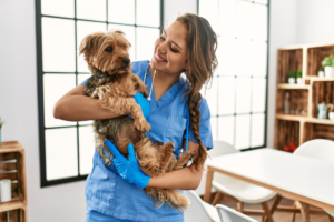 Neutering Your Dog